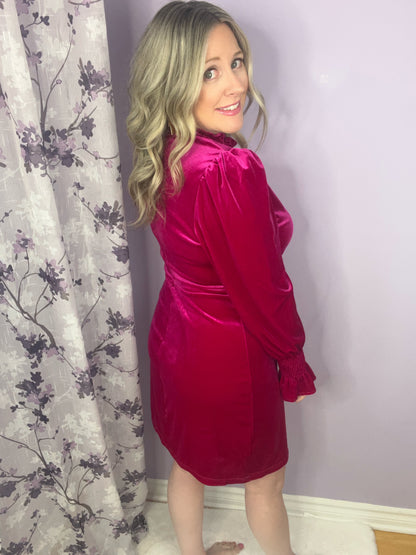 Pink Lux Velvet Dress